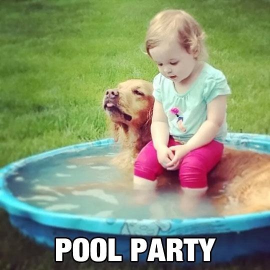 Obrázek funny-girl-dog-pool-tiny