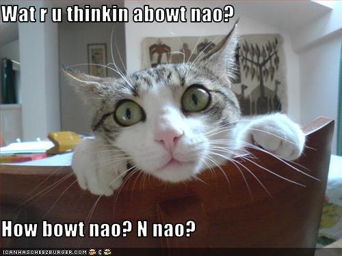 Obrázek funny-pictures-cat-wonders-what-you-are-thinking 5B1 5D