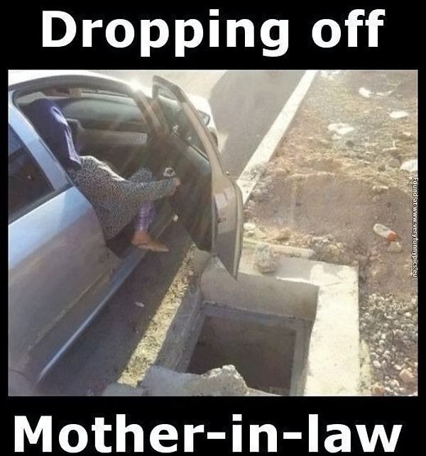 Obrázek funny-pictures-dropping-of-mother-in-law