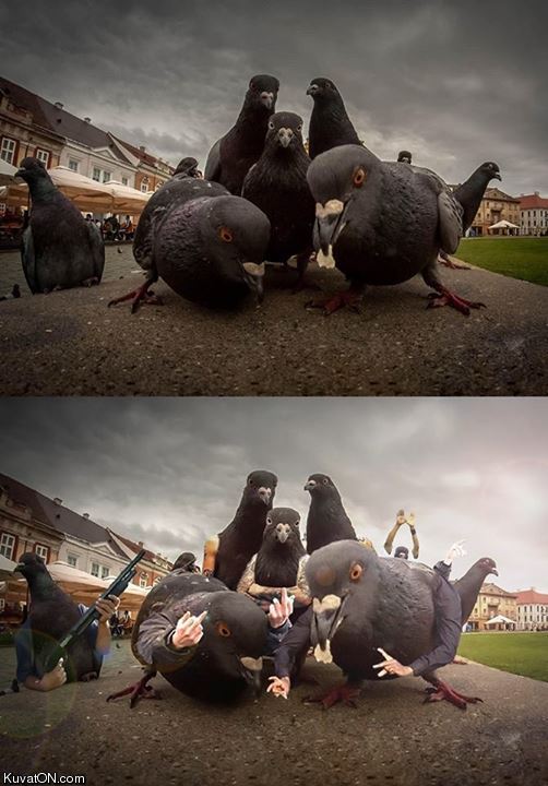 Obrázek gangsta birds