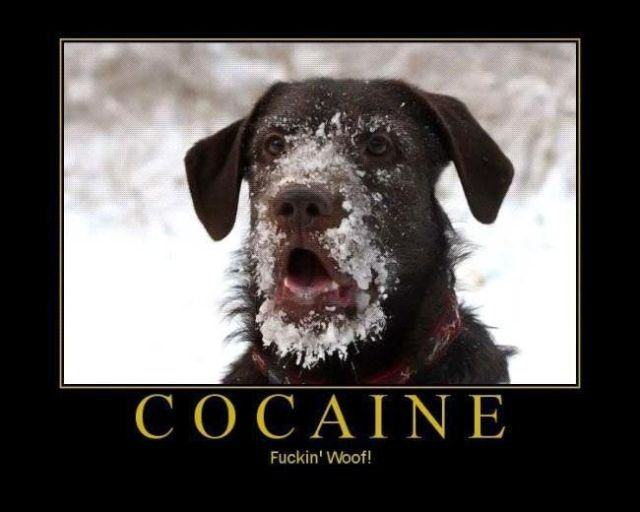 Obrázek gd cocaine