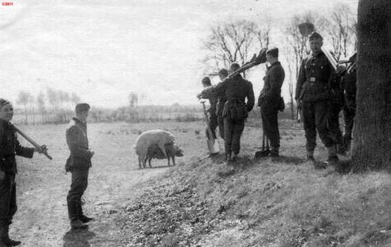 Obrázek german-soldiers-1