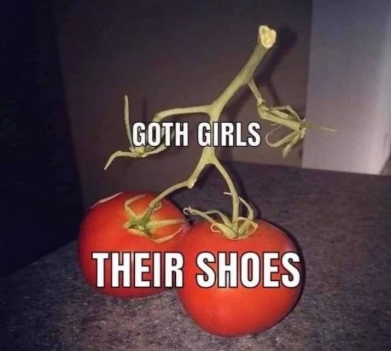 Obrázek goth girls shoes