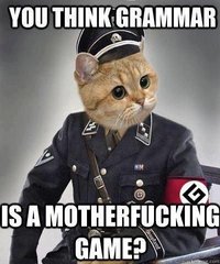 Obrázek grammar nazi cat