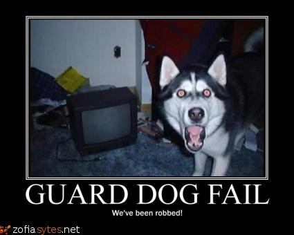 Obrázek guard dog
