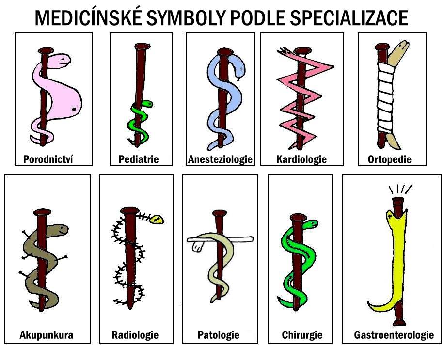 Obrázek hadi v medicine