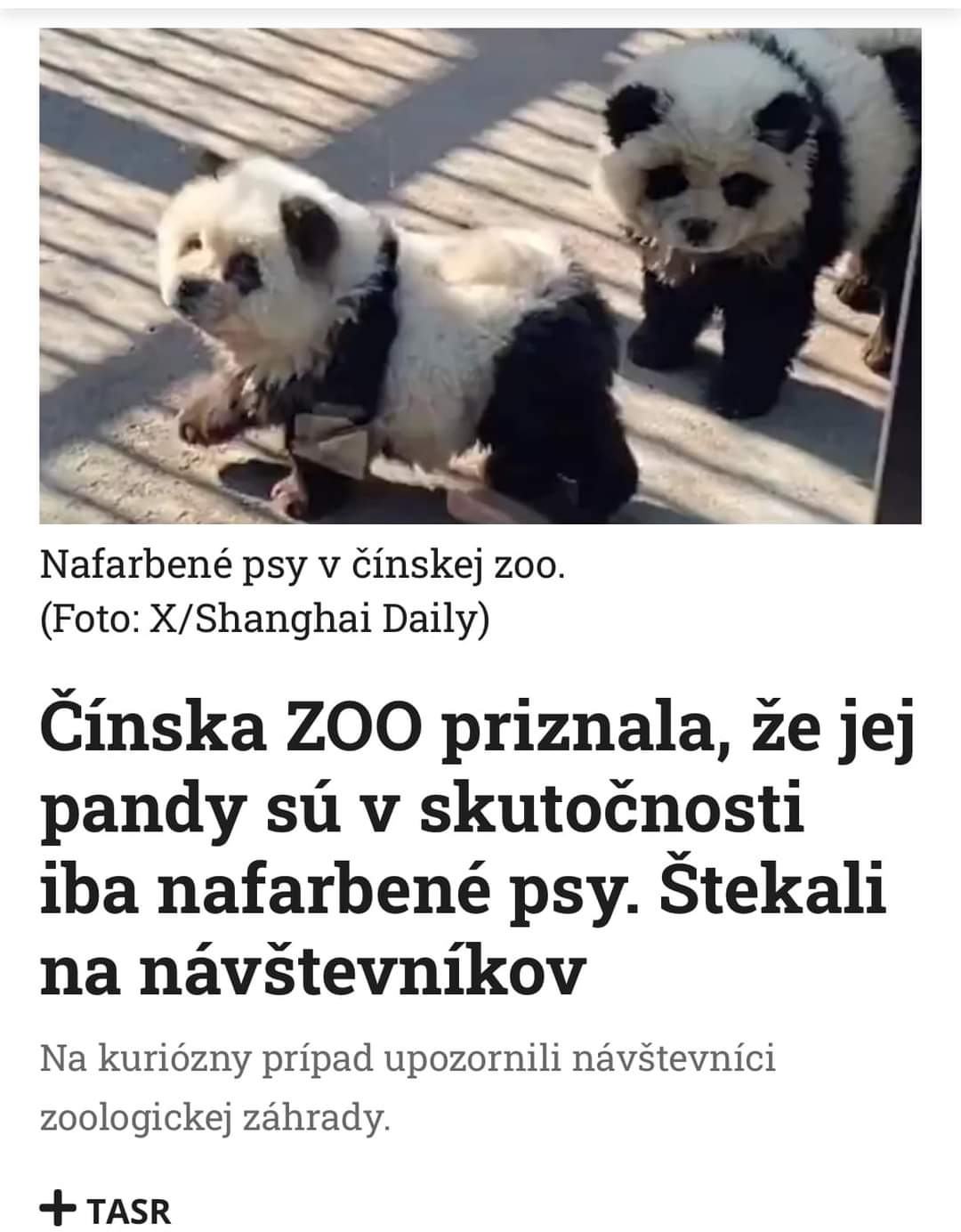 Obrázek haf haf teda grr