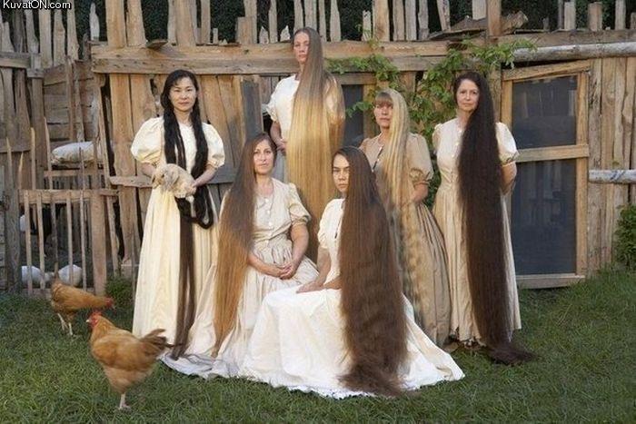 Obrázek hairy womens