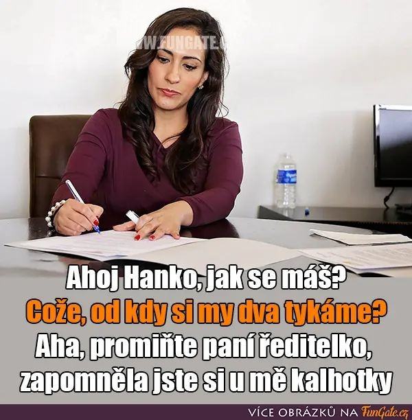 Obrázek hanka forma