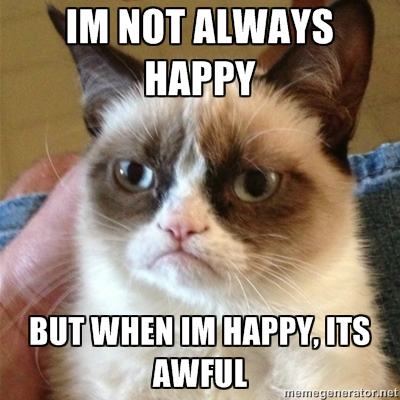 Obrázek happy grumpy cat