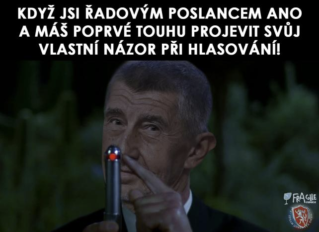 Obrázek hlasovani ANO 