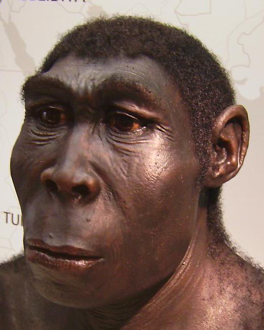 Obrázek homo erectus nezabudaj kto si