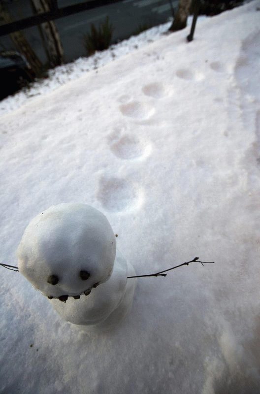 Obrázek hopsajici snehulak