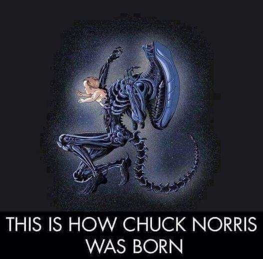 Obrázek how chuck was born