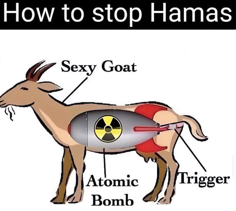 Obrázek how to stop Hamas