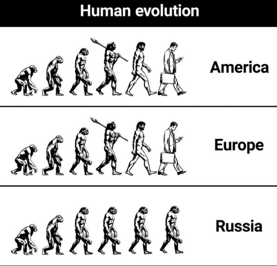 Obrázek human evolution