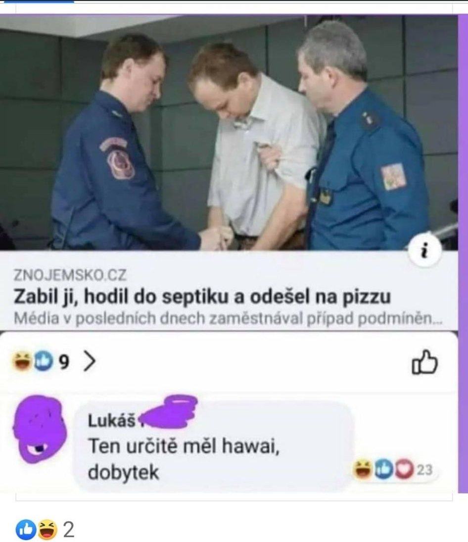 Obrázek humusak jeden