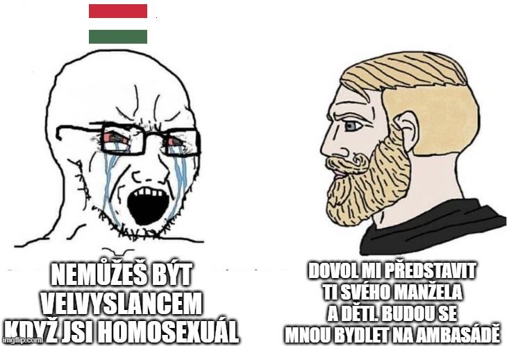 Obrázek hungary soyboys