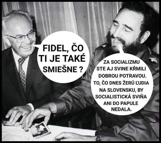 Obrázek husak fidel