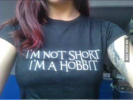 Obrázek i am not short i am  a hobbit 