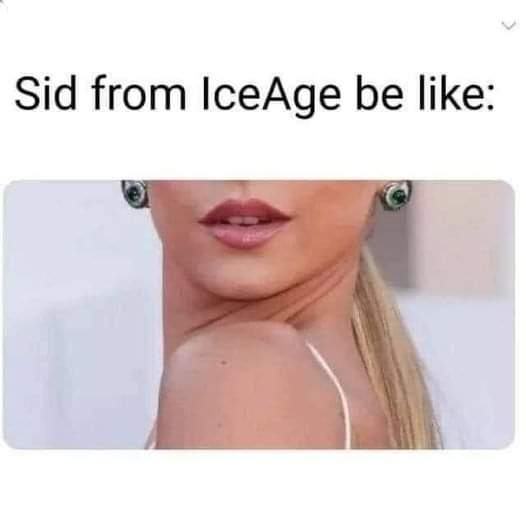 Obrázek icesid