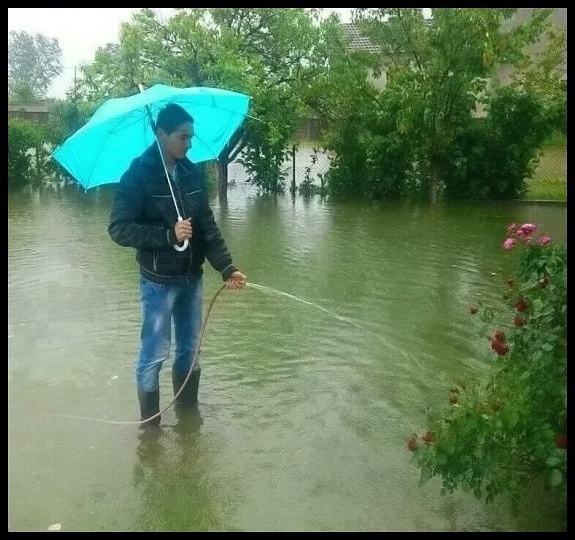 Obrázek idiot.  