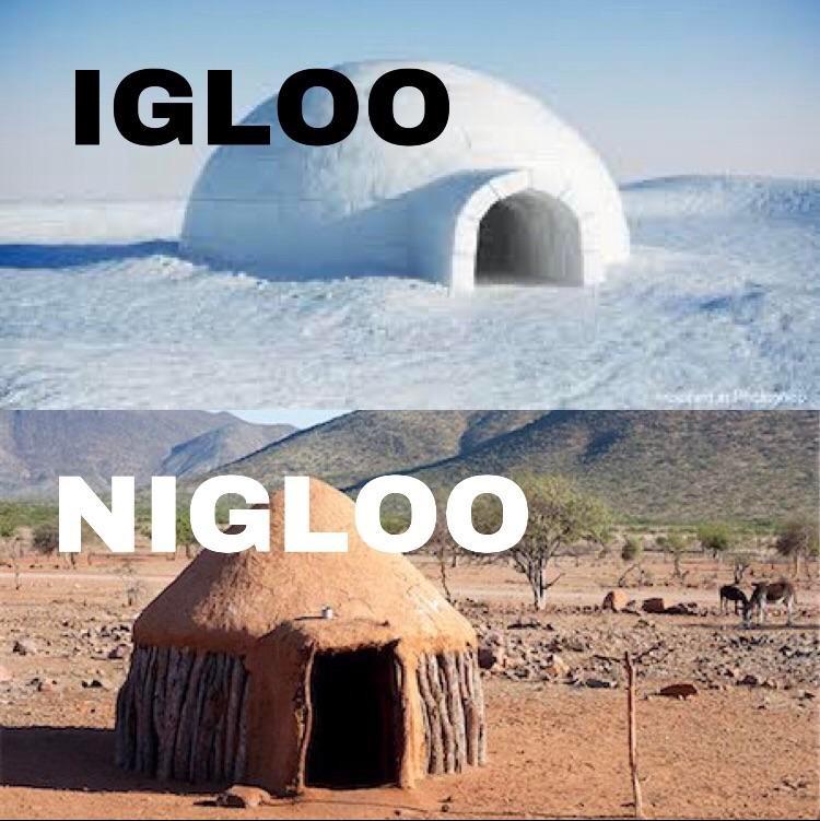 Obrázek igloo nigloo