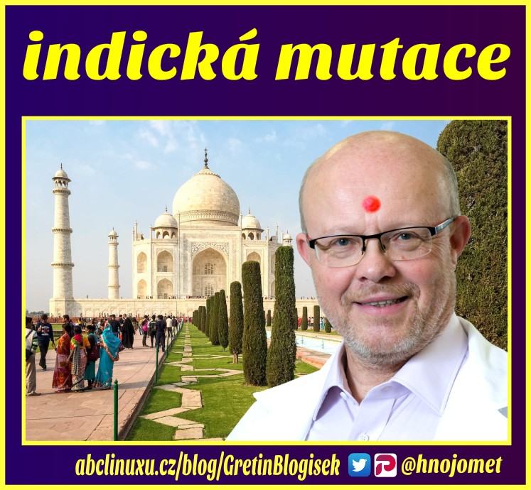 Obrázek indicka mutace