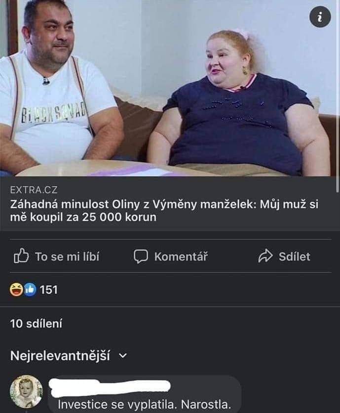 Obrázek investice 1