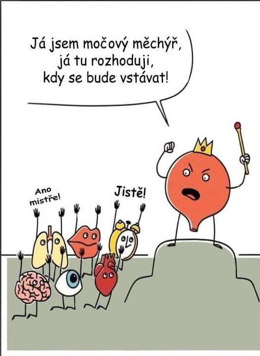 Obrázek ja rozhoduji