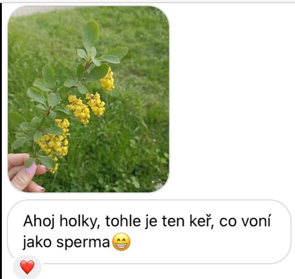 Obrázek jako sperma