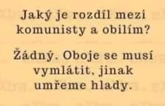 Obrázek jaky je rozdil