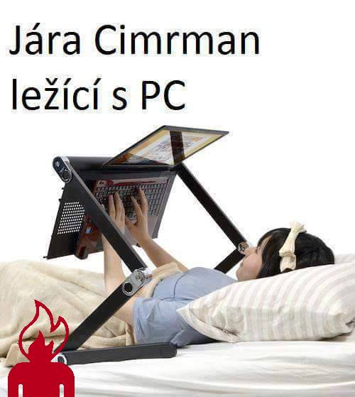 Obrázek jara lezici pc