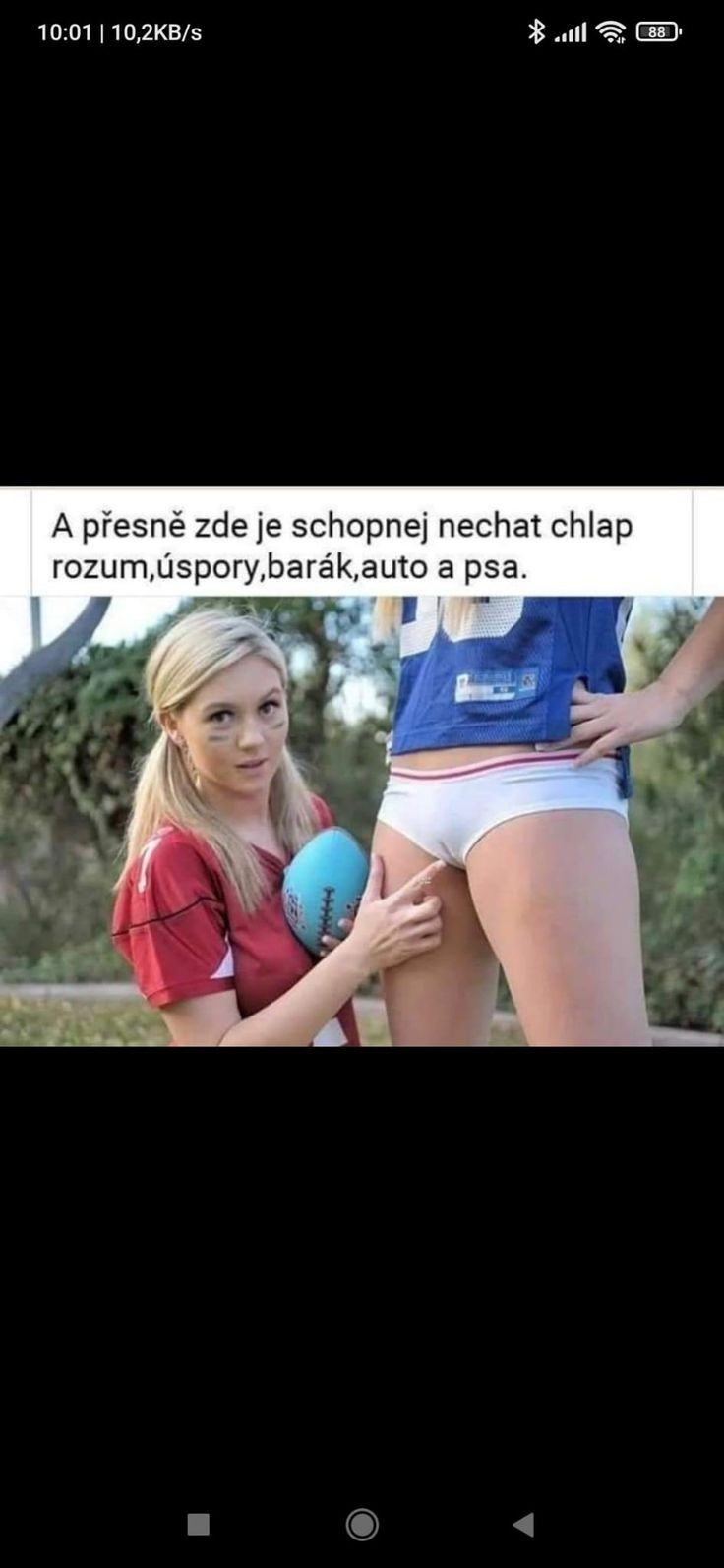 Obrázek je schopnej