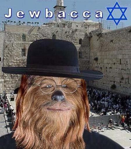 Obrázek jewbacca