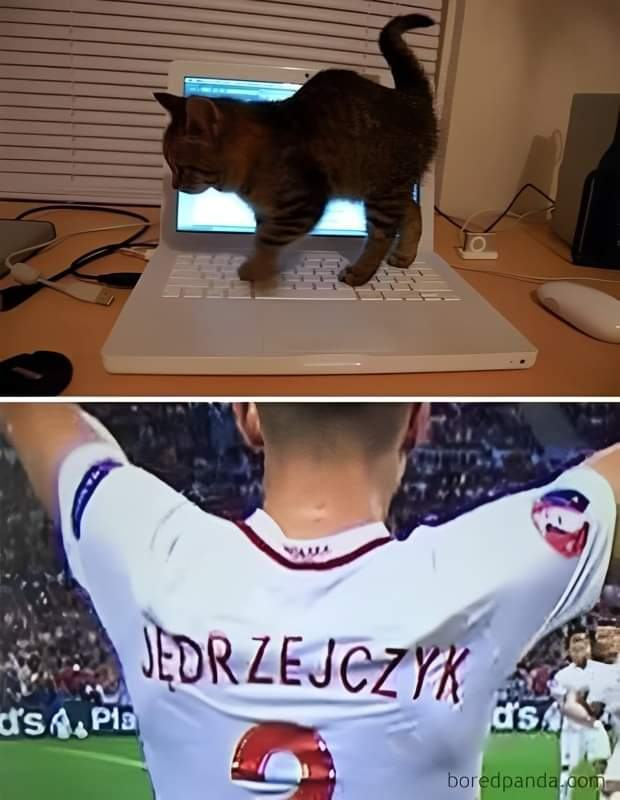 Obrázek jezbwedzyrz