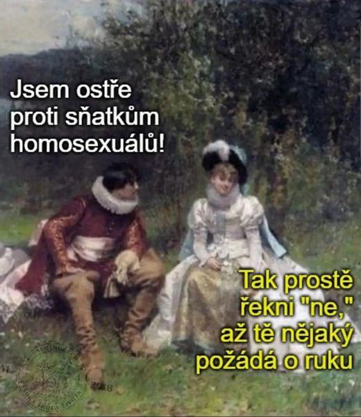 Obrázek jsem proti snatkum