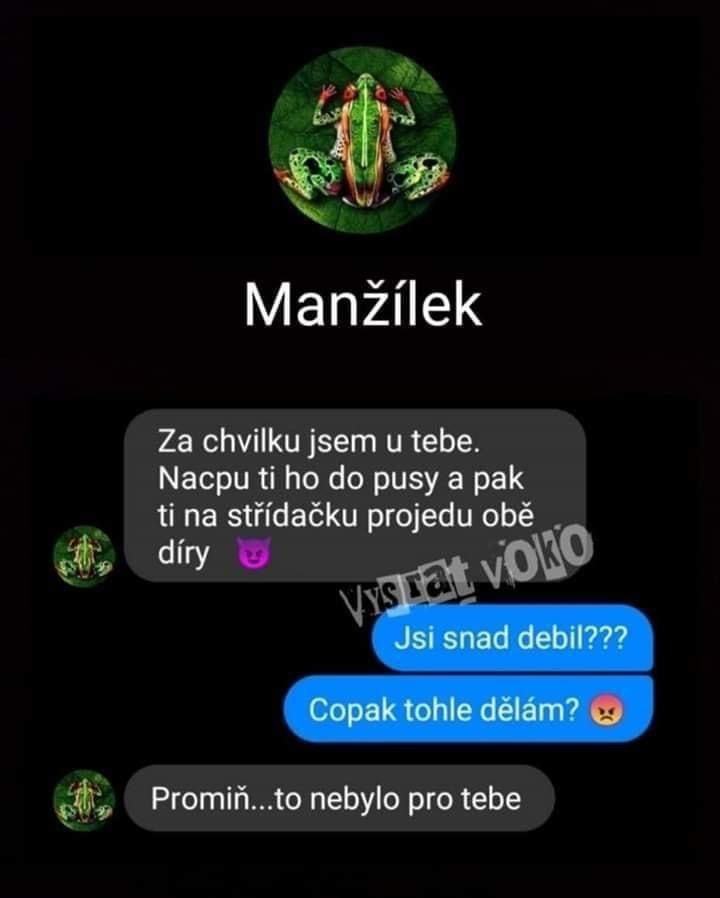 Obrázek jsi snad debil