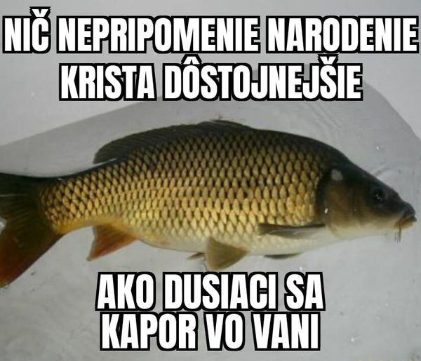 Obrázek kapor vo vani