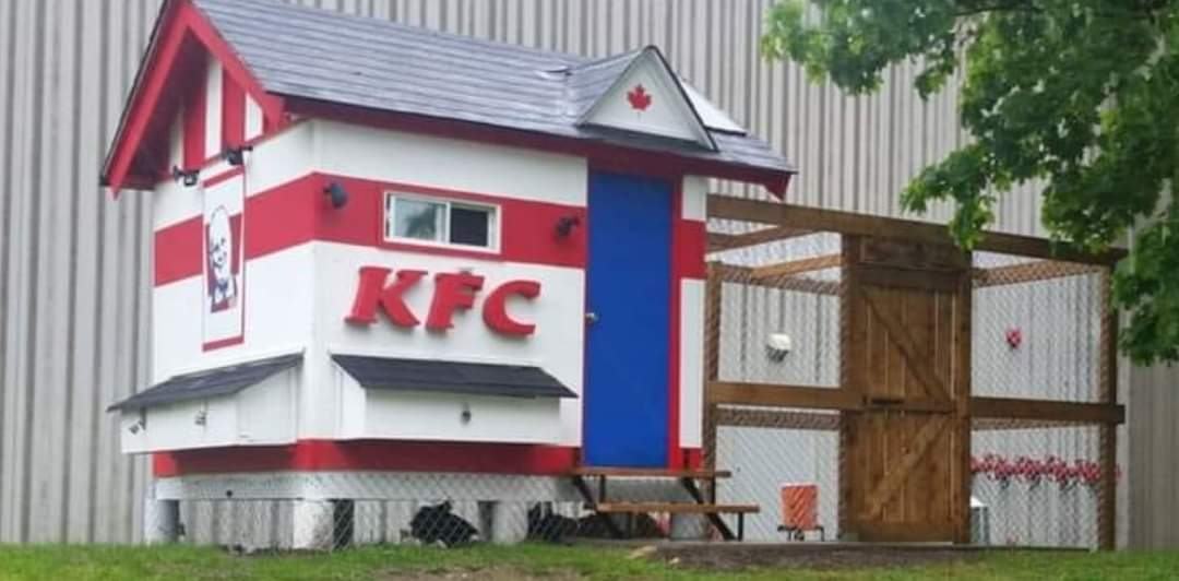 Obrázek kfc - 