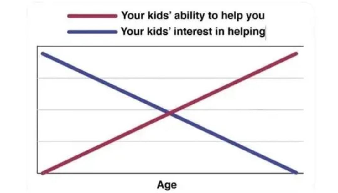 Obrázek kidsability