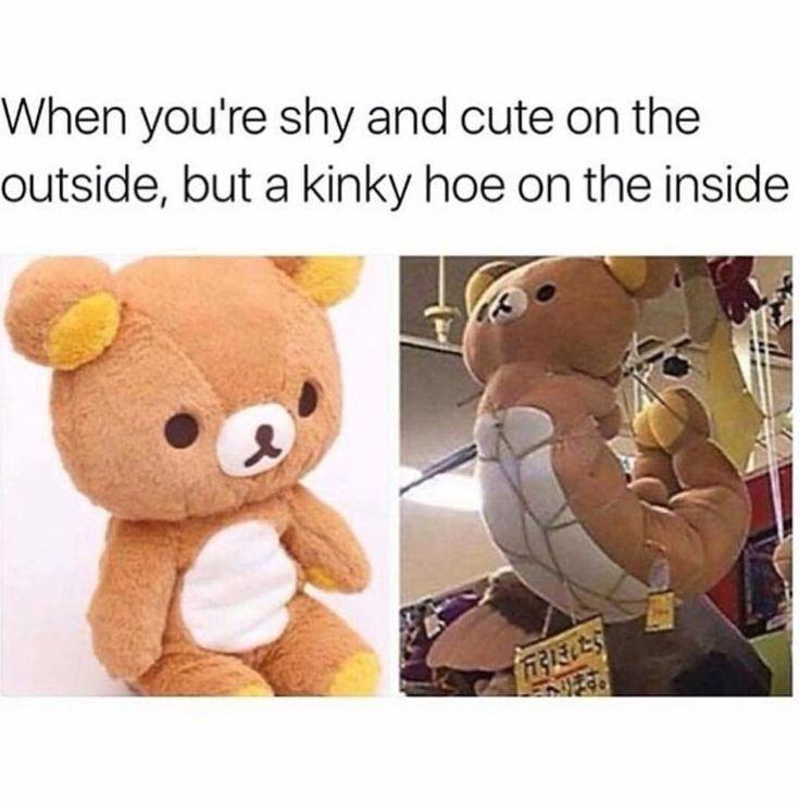 Obrázek kinky hoe bear