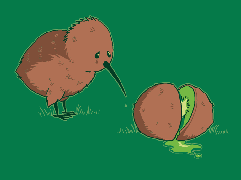 Obrázek kiwi