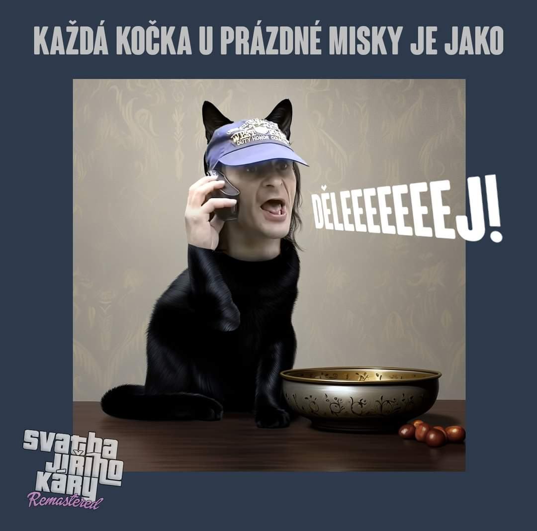 Obrázek kocka u misky