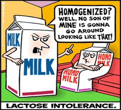 Obrázek lactose intolerance