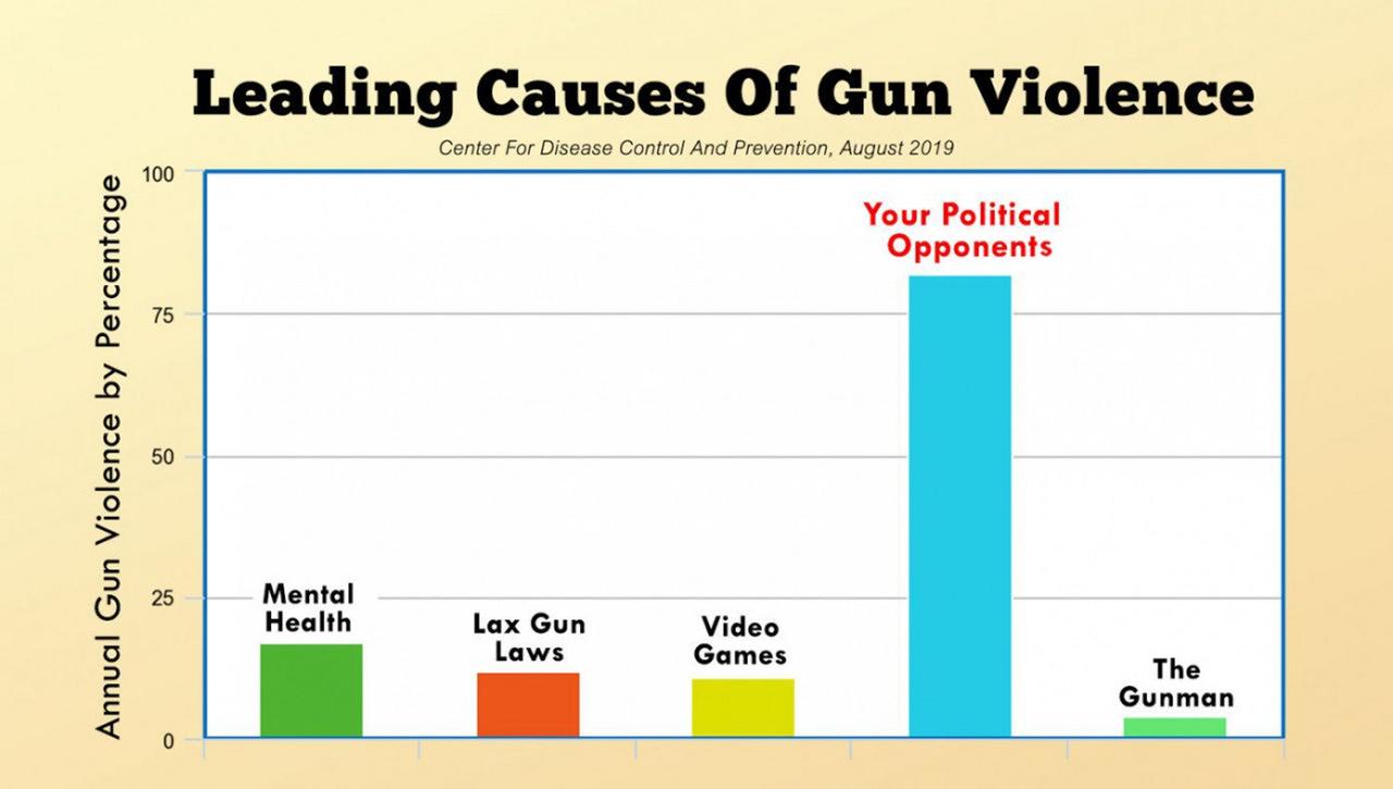 Obrázek leading causes of gun violence