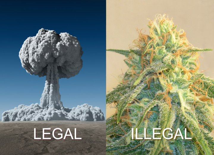 Obrázek legal-atomic-bomb-illegal-cannabis-marijuan-hemp-bud-weed