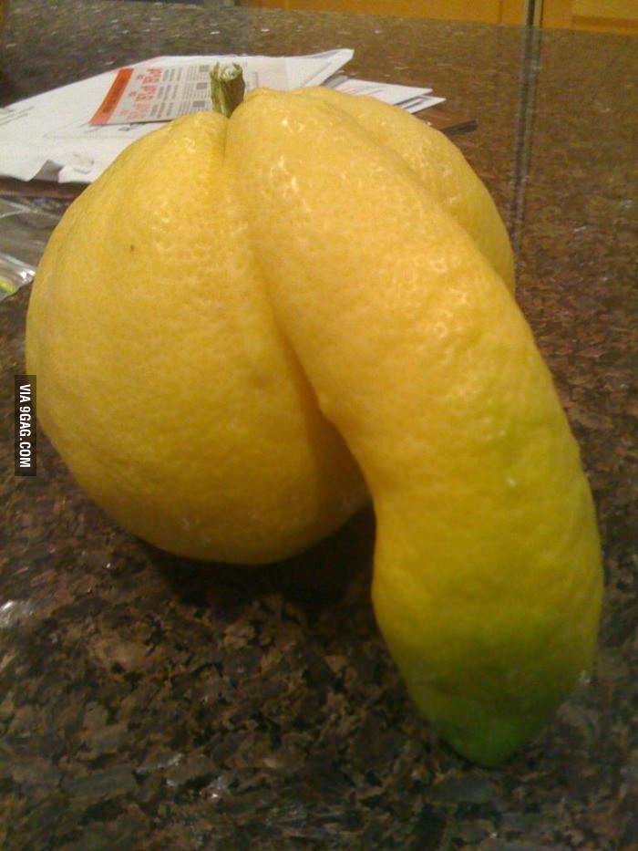 Obrázek lemondick