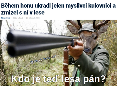 Obrázek lesa pan