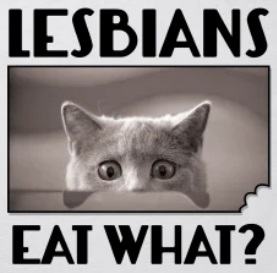 Obrázek lesbians eat what